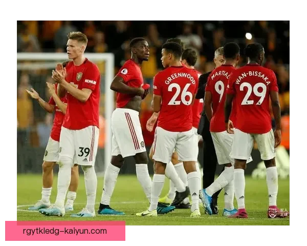 狼队本赛季数据分析：防守稳固，进攻效率持续提升